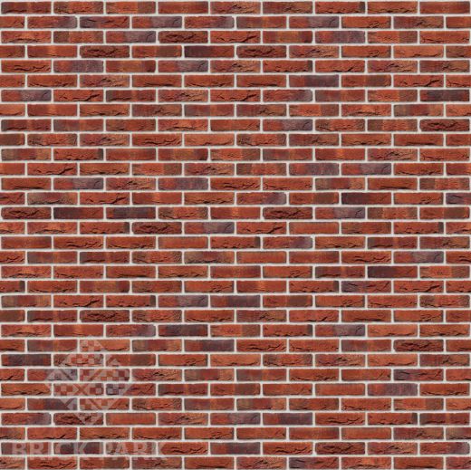 Кирпич Nelissen Autrique WDF65