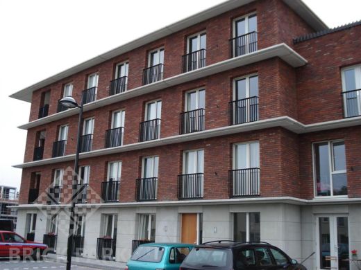 Кирпич Engels Hoevesteen WDF1/2