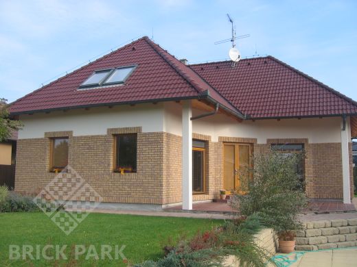 Кирпич Engels Baltic Amber WDF