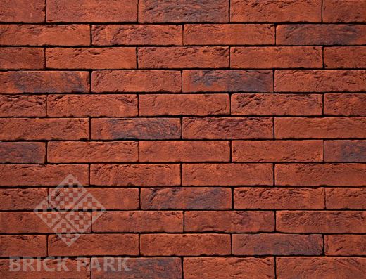 Кирпич Nelissen Nederrijn Wasserstrich WDF65