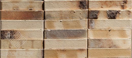 Ringofenklinker Schmelz-weiß Kohlebrand