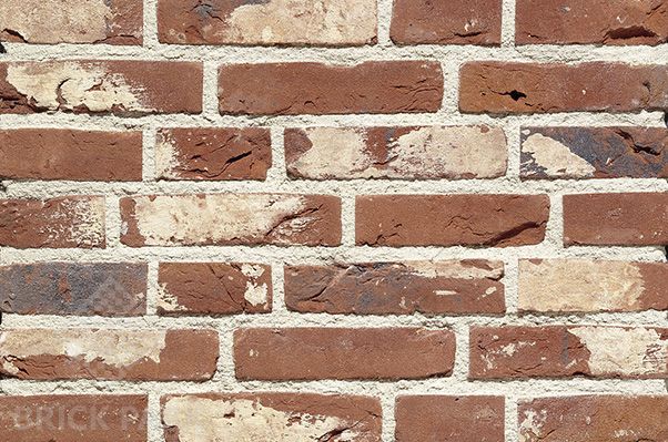 Клинкерная плитка Crh Classic Carmine WFD