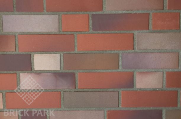 Кирпич Abc 5054 Reisenbeck rot-bunt-geflammt NF