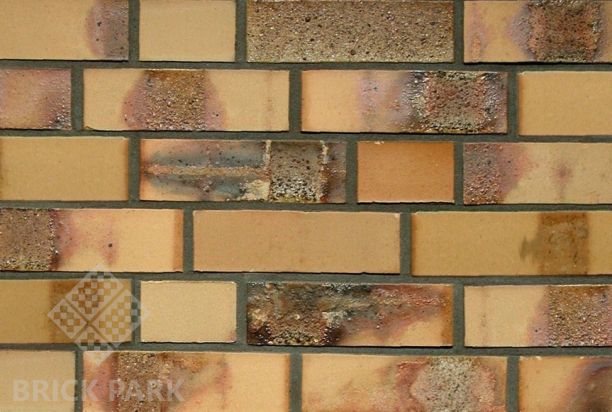  Кирпич Hagemeister Klinker Rostock NF Gt