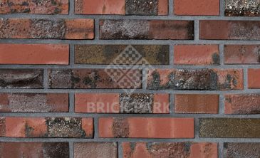  Кирпич Hagemeister Klinker Baltrum Gt NF, фото