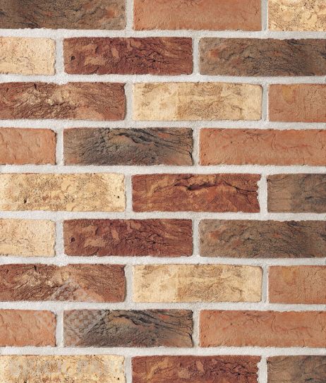 Кирпич Terca Cienna NF