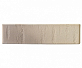 Облицовочный кирпич RECKE  BRICKEREI (РОССИЯ) 1-81-00-2-00 0,7NF, 250x120x65 мм