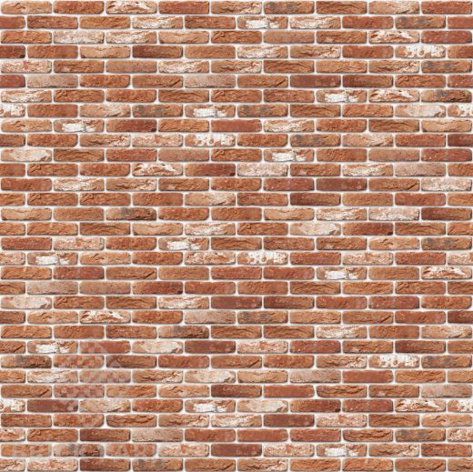 Кирпич Nelissen Belle Ep.Baekel WDF65