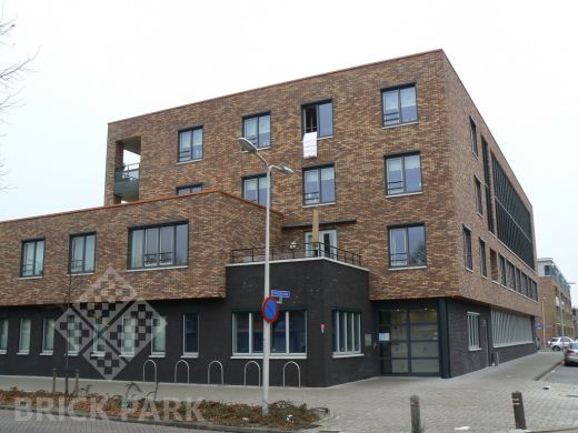 Кирпич Daas Baksteen Maplewood STF