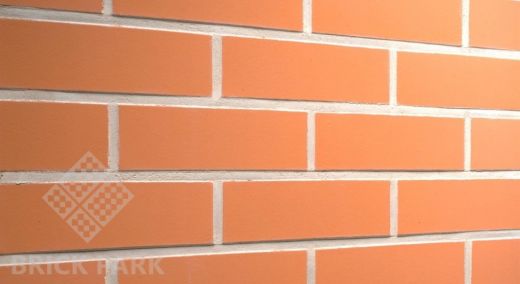 Клинкерная плитка Bricking 220 NF 14