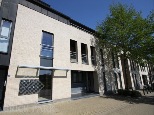 Кирпич Nelissen Rubio WDF65