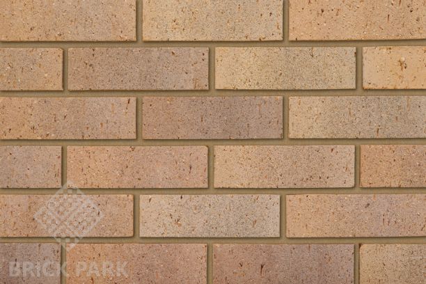 Кирпич IBSTOK Caledonian Buff Blend