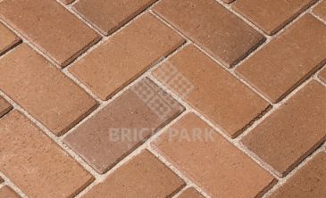 Клинкерная Брусчатка Wienerberger Penter Gelbbunt 118