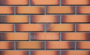 Кирпич Crh Clay Solutions OCHRA TON 1/2