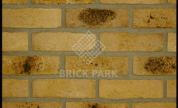 Кирпич Daas Baksteen SITTINGBOURNE GESINTERD WDF