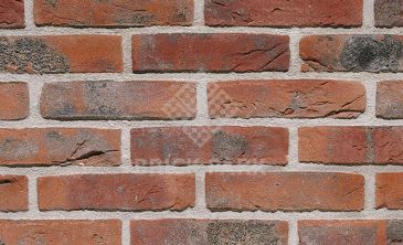 Клинкерная плитка Crh Carmine Gs WFD