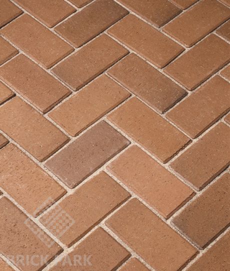 Клинкерная Брусчатка Wienerberger Penter Gelbbunt 118