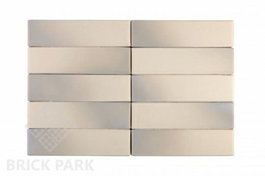 Облицовочный кирпич RECKE BRICKEREI (РОССИЯ) 1-41-00-0-00 0,7NF, 250x120x65 мм