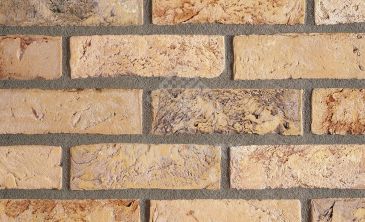 Кирпич Terca Aurora WFD65