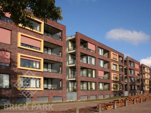 Кирпич Daas Baksteen Purplewood NF