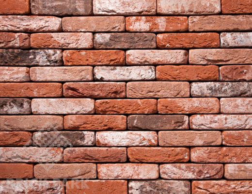 Кирпич Nelissen  Verona WF50