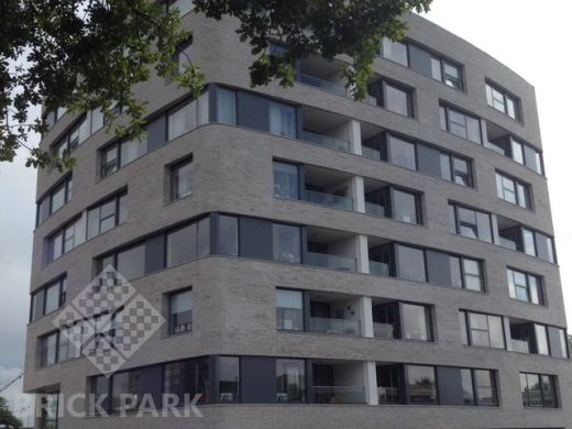 Кирпич Daas Baksteen Birchridge NF