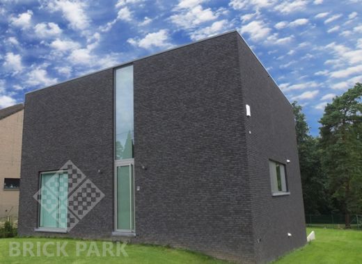 Кирпич Nelissen  Ferro WDF65