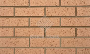 Кирпич IBSTOK Earlswood Textured Buff