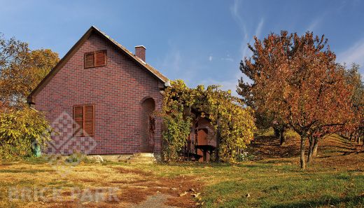 Клинкерная плитка King Klinker Aria rustica (HF21) NF14