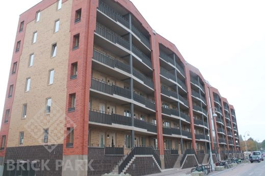 Кирпич Daas Baksteen Blackburn Fuss WF