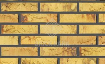 Кирпич Daas Baksteen Maplewood SNF