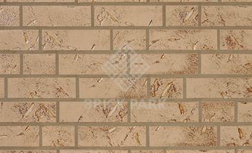 Клинкерная плитка Abc Austria Salzburg