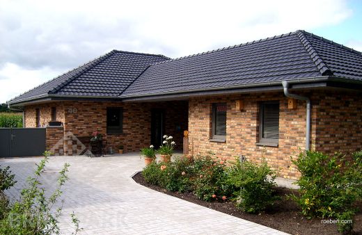 Кирпич Roben Moorbrand erdbraun-bunt NF полнотелый