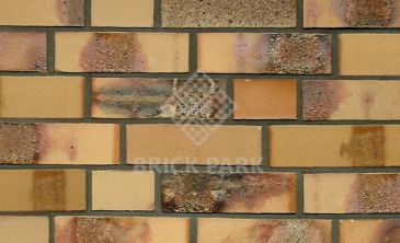  Кирпич Hagemeister Klinker Rostock NF Gt