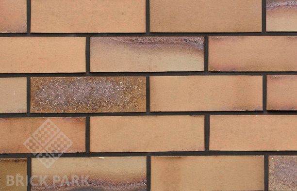 Кирпич Hagemeister Klinker Rugen Gt