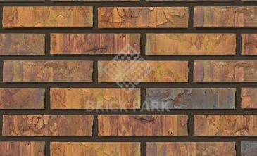 Кирпич Daas Baksteen Oakwood HF