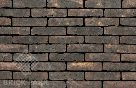 Кирпич Nelissen Maassteen WF50