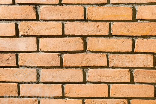 Кирпич Петровский классика Ренне