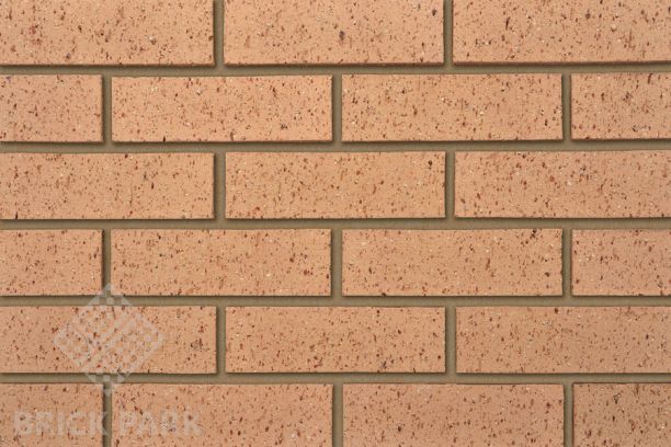 Кирпич IBSTOK Earlswood Textured Buff