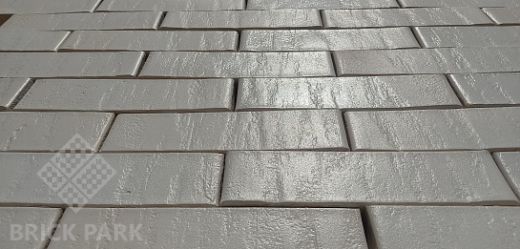 Облицовочный кирпич RECKE  BRICKEREI (РОССИЯ) 1-14-00-2-00 1NF, 250x120x65 мм