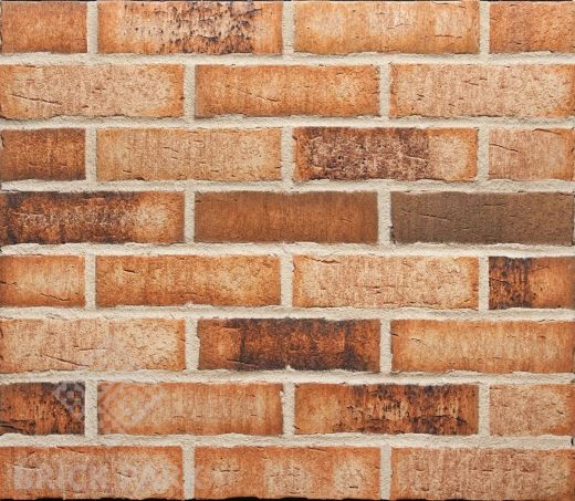 Клинкерная плитка Feldhaus Klinker Sintra Sabioso Binaro R 665 NF 14