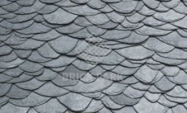 Кровельный сланец чешуйчатая Дикая Wilde