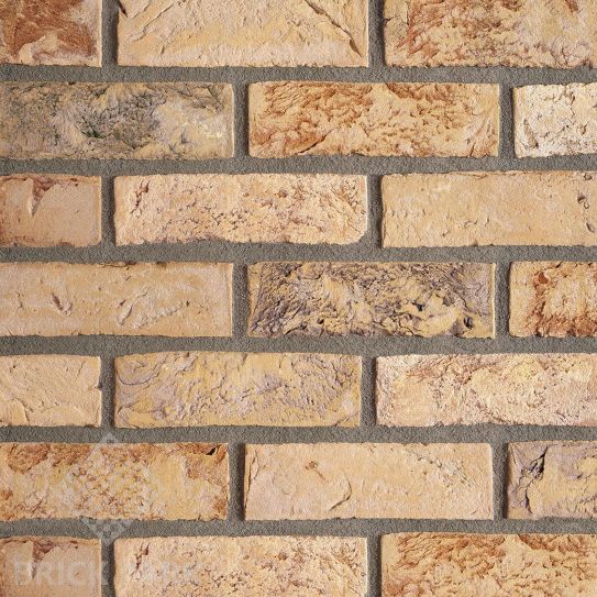 Кирпич Terca Aurora WFD65