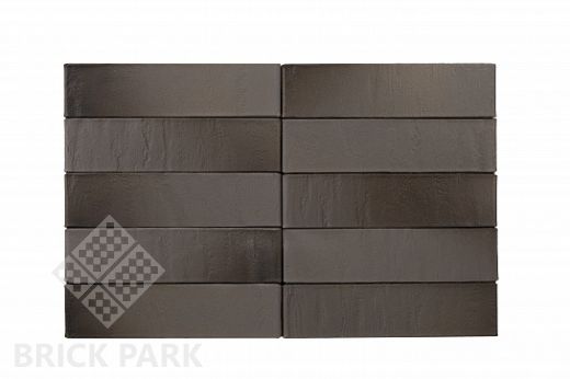 Облицовочный кирпич RECKE BRICKEREI (РОССИЯ) 5-82-31-2-00 0,7NF, 250x120x65 мм