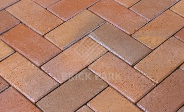 Клинкерная Брусчатка Wienerberger Florenz Bunt 45