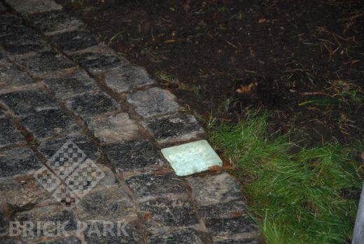 Светодиодная брусчатка LedStone 100х100 Warm 