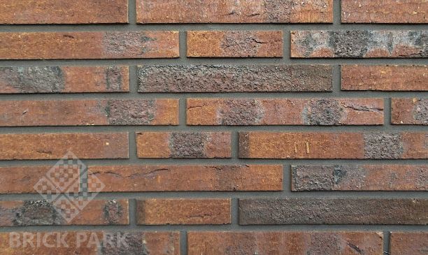  Кирпич Hagemeister Klinker Gent Bu F