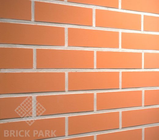 Клинкерная плитка Feldhaus Klinker Terracotta Liso R 220 NF 14