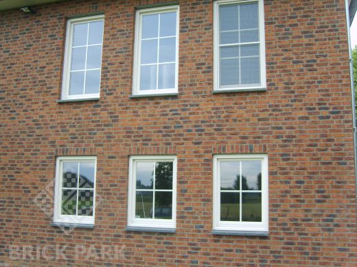 Кирпич Engels Koper roodbont WDF