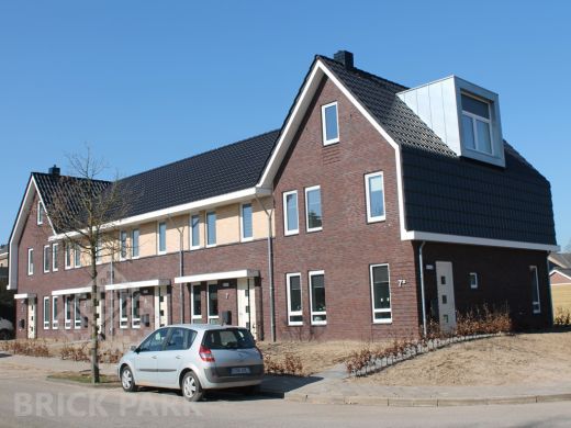 Кирпич Daas Baksteen Rozengaarden WDF